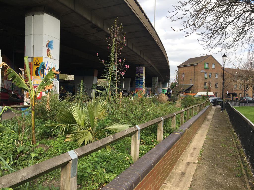 GardensHope's tweet image. 8yrs six mths of personal care love attention to detail and you get 2our  end clip #CommunityImpact = #SocialValue = #EconomicGrowth circular equation #GrowthMindset @josephpowell @mhclg  shall we do #questiontime @RuetersLLP  @RBKC development funding  demands @WestwayTrust