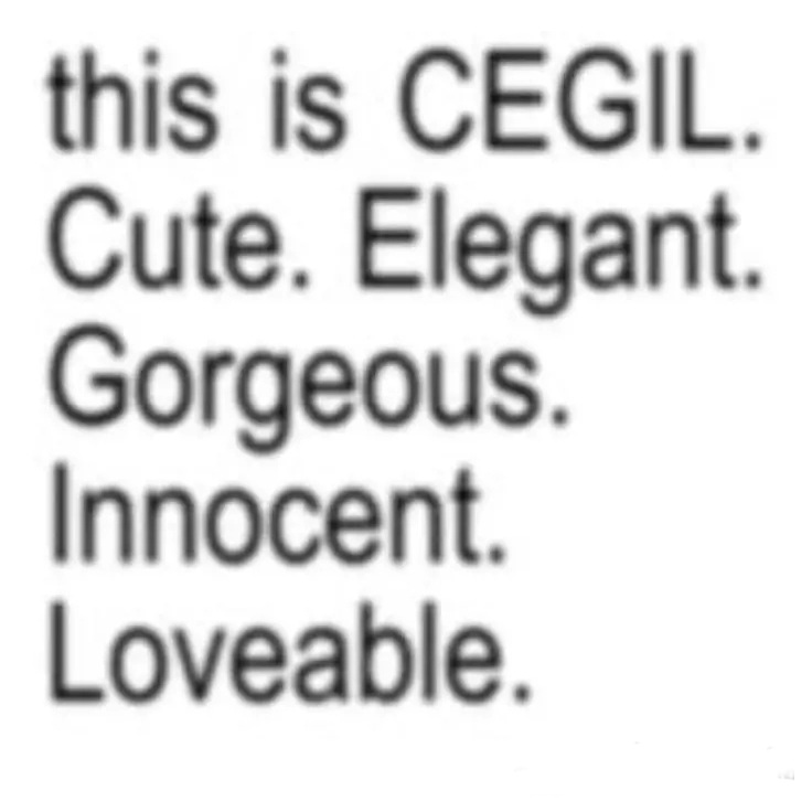 acays_'s tweet image. 💌