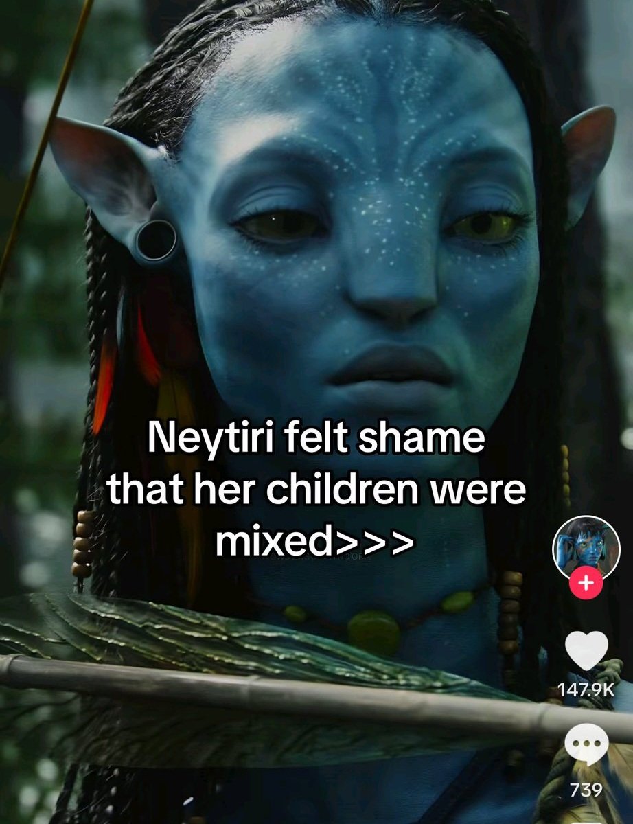 ☫ 天下 ☫ tweet media