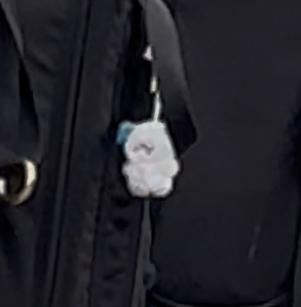 예차니 바이올린 가방에 왈이🐶🩵