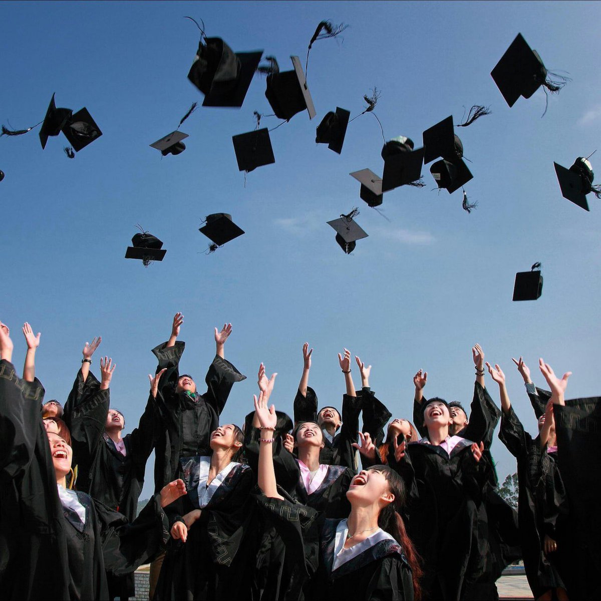 üniversite inceleme tweet media