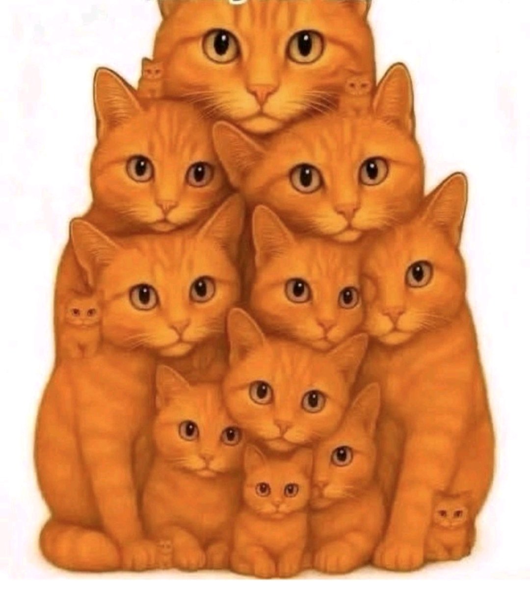 How many you can see ??
#cat #quiz #mind #Focus #iq