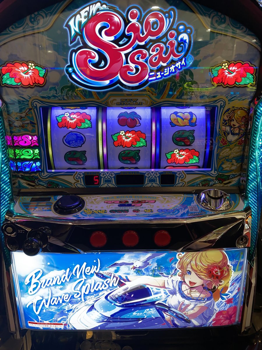 🌺 🌺 🌺 🌺 🌺