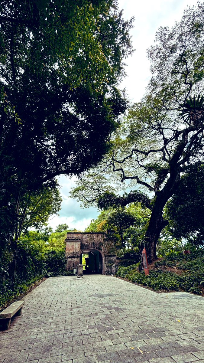 Capt_Bee's tweet image. 昼ラン6km、703km/2025。日本帰る前に肉を少しでも落としとかんとあかん…
#昼ラン #フォートカニング