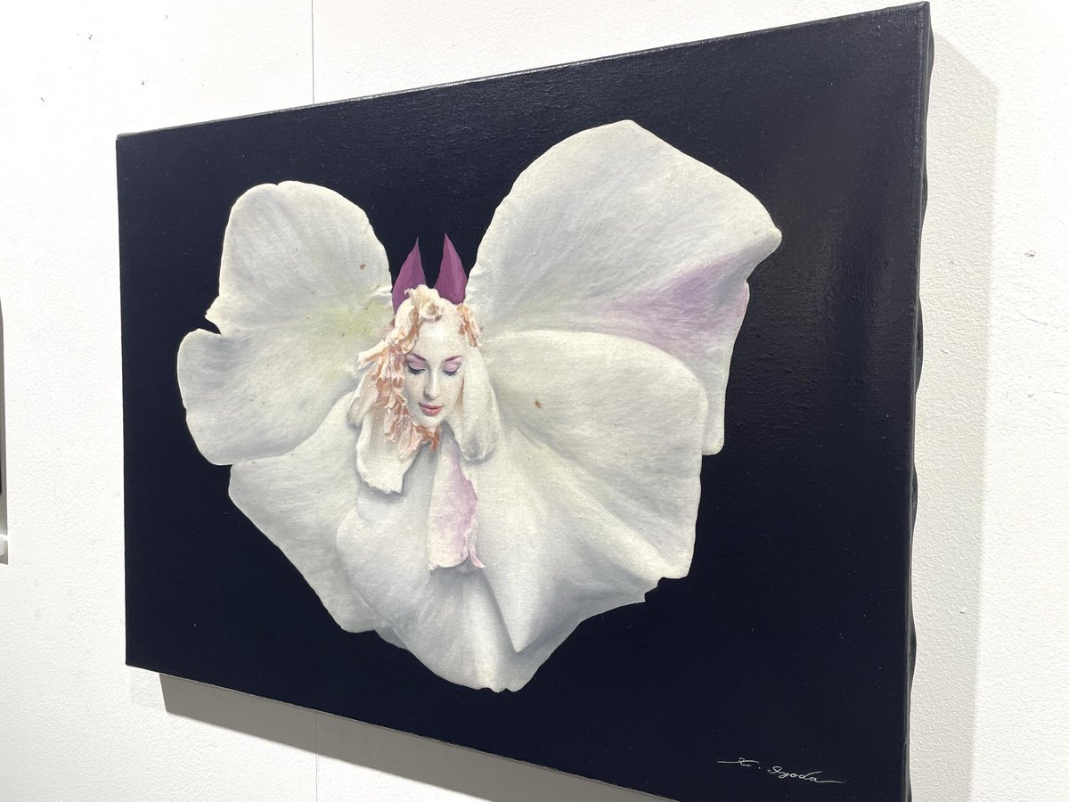 こんばんは🌝たくさんの方にご来場いただいております伊豫田晃一 個展『夜のフローラ 光のファウナ』、作品のご応募受付は明日まで。皆様から大変高いご評価をいただいております本展作品をお迎えできる機会、お見逃しなく💁🏻#伊豫田晃一 #koichiiyoda <a href="/locus_solus/">Koichi Iyoda</a>  #novantiqua <a href="/novantiqua_pf/">NOVANTIQUA 額装家</a>