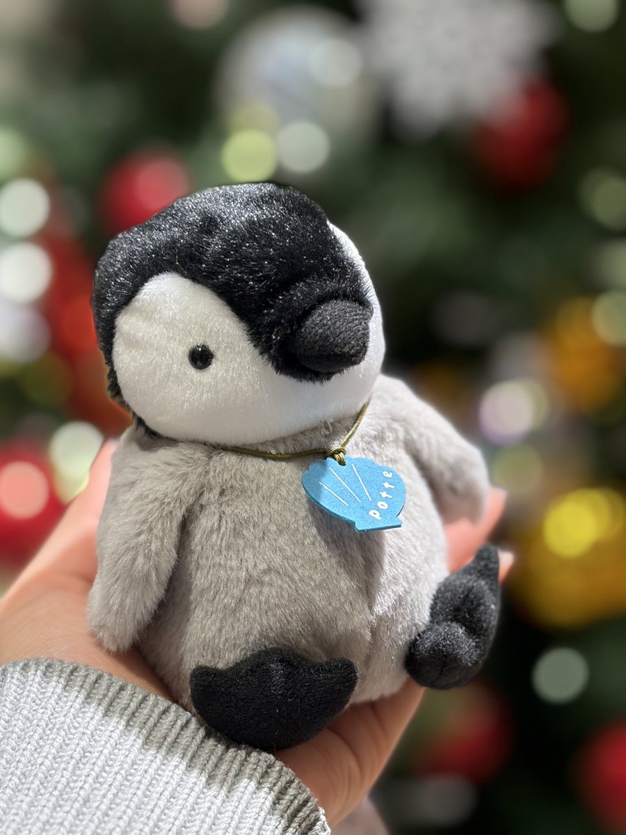 くまごろう (@Kuma_Gorou_9056) / Posts / X