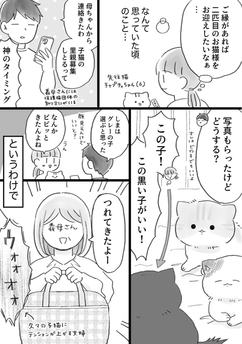 ねこ絵日記です🐾

目力が強い保護猫をお迎えした話
(4枚+ツリーにおまけがあるよ) 