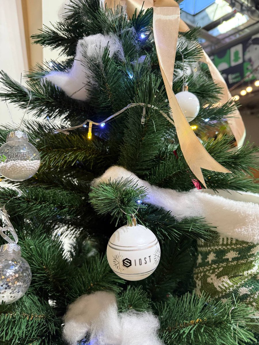 IOST_Official's tweet image. Hello from Thailand x @BitkubOfficial!

All I want for Christmas is IOST 🎶🎶