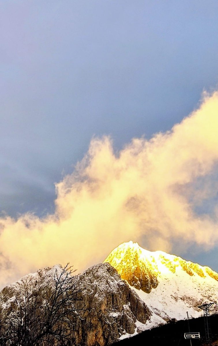 Buenos días #Picotorres