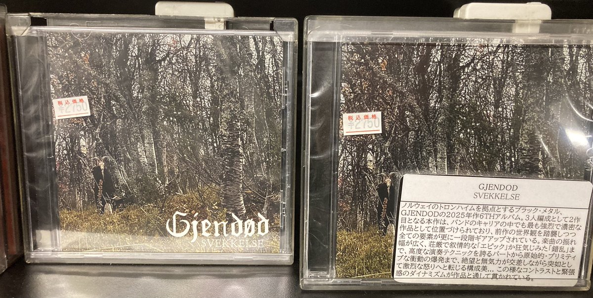 🔥本日入荷しております！🔥 GJENDOD / SVEKKELSE ノルウェイのトロン