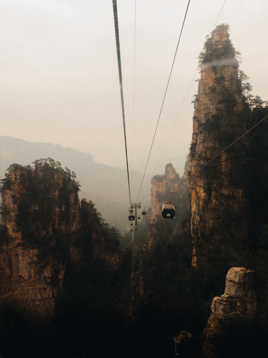 Powlisher tweet media