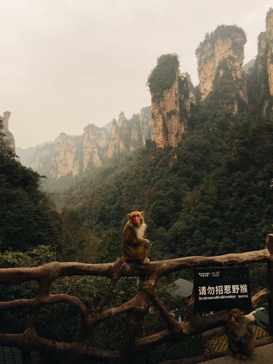 Powlisher tweet media