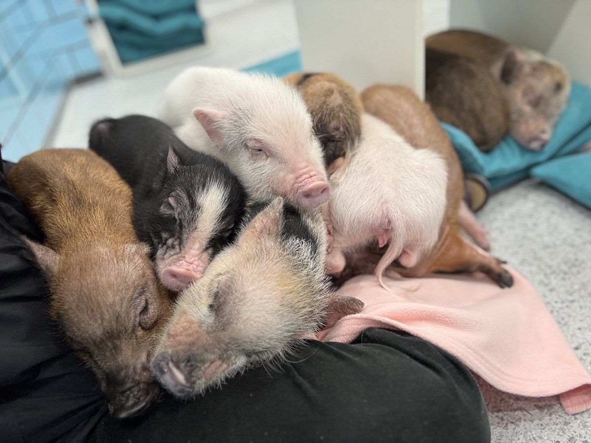 人生で1番モテました☺️