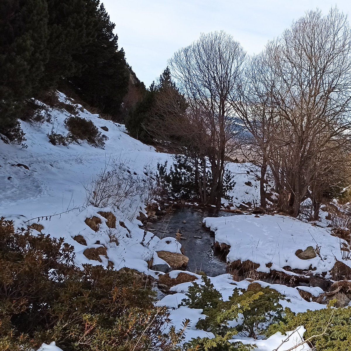 Calendari dels Pagesos tweet media