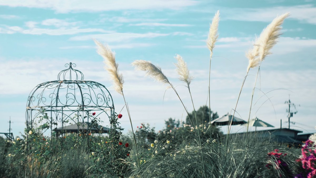 Post by Mavi 💙🌙 on X: 🩵🩵🩵🩵