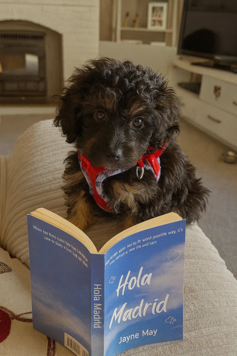 Eric wants to read Hola Madrid quickly before the sequel comes out early next year 🤣 🐶
#cleverdog #writerslift #romanticnovel #saturday #BookBoost #tbr