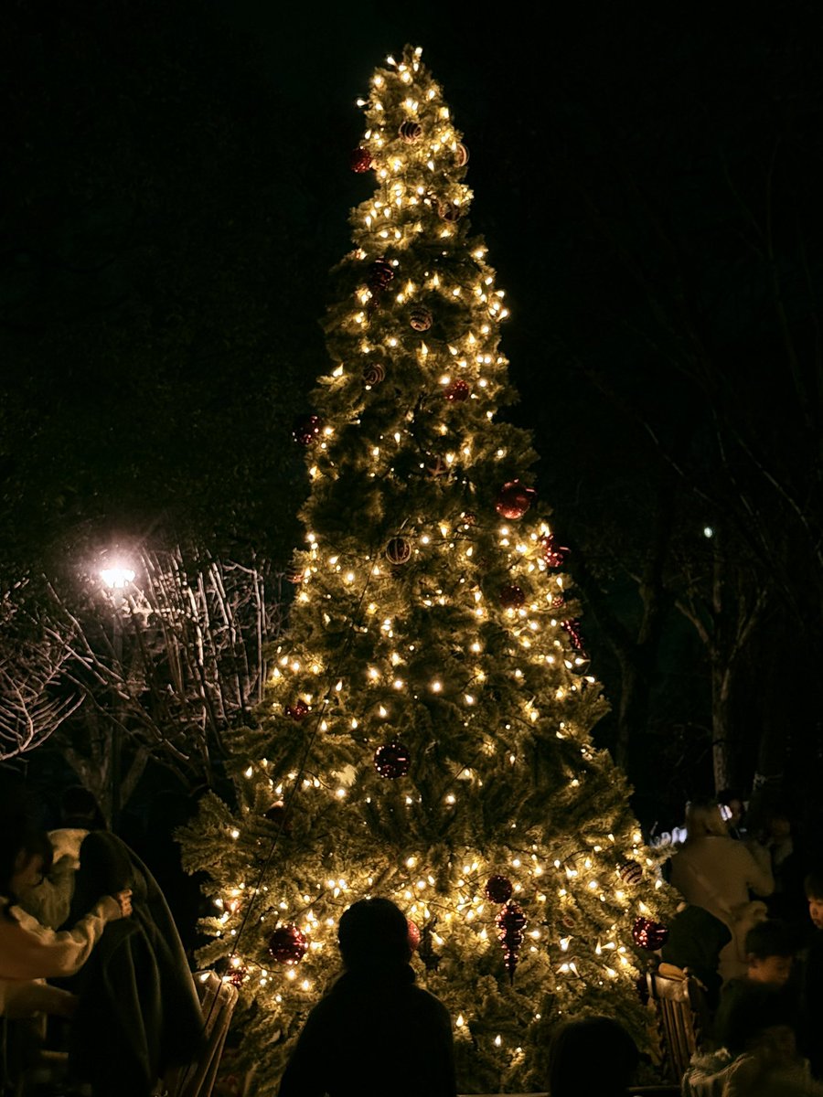 RiyiRiy's tweet photo. クリスマスマーケットを楽しむ🎄 https://t.co/VAyGUleuUr