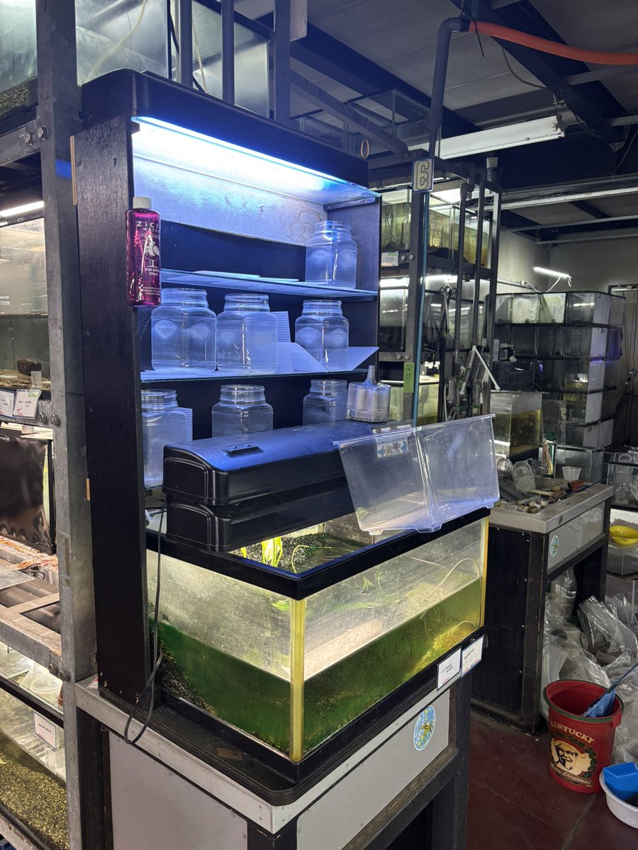 a-aqua (@aqua88257188) / Posts / X