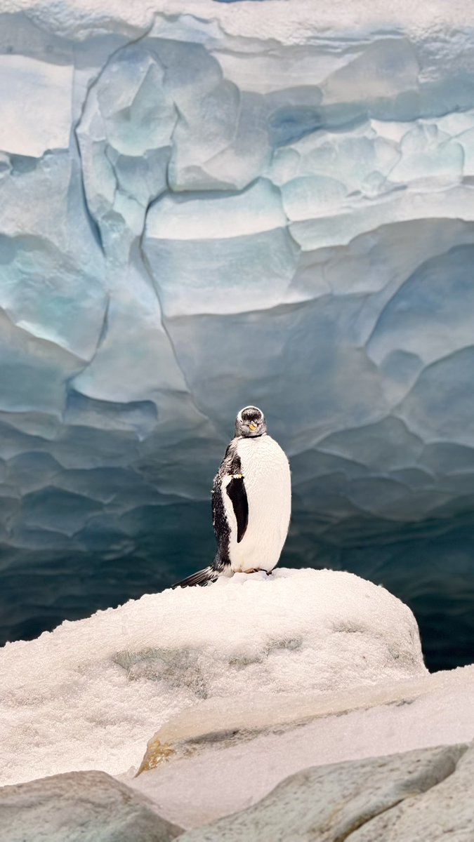 #الاجواء_الشتويه
الوضع الحالي