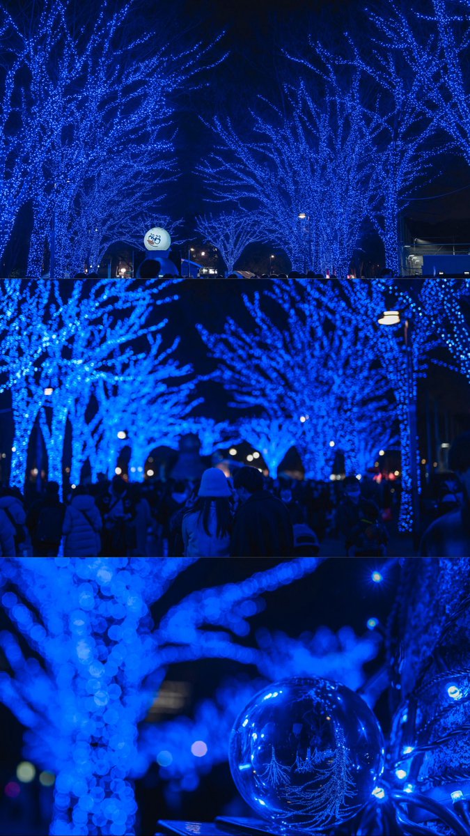 toshiPiP's tweet image. 青色撮ってきました
イルミネーションの撮り方の正解を知りたい