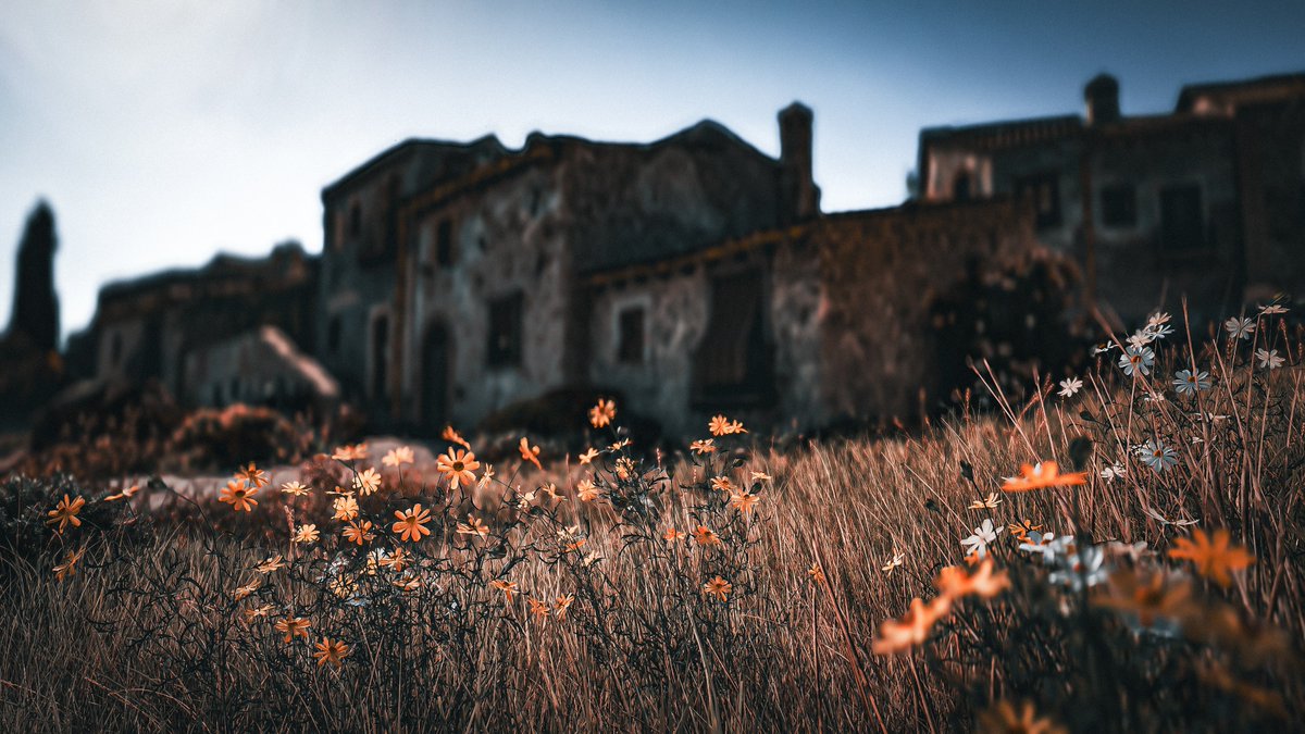 I love flowers 🖤

#MafiaTheOldCountry ↕️
#VirtualPhotography