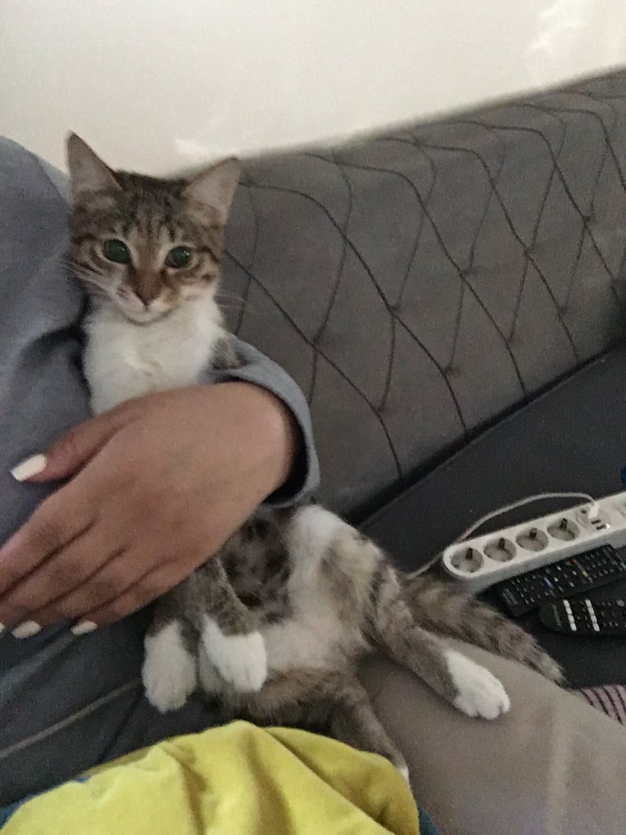 AAscoco's tweet image. باهم نشستیم دیگه چیکار کنیم