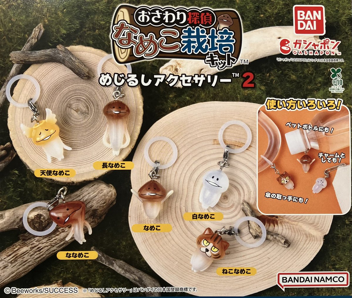 🙇12月20日(土)完売のお知らせ⑦🙇 ✔️なめこ栽培キット めじるし