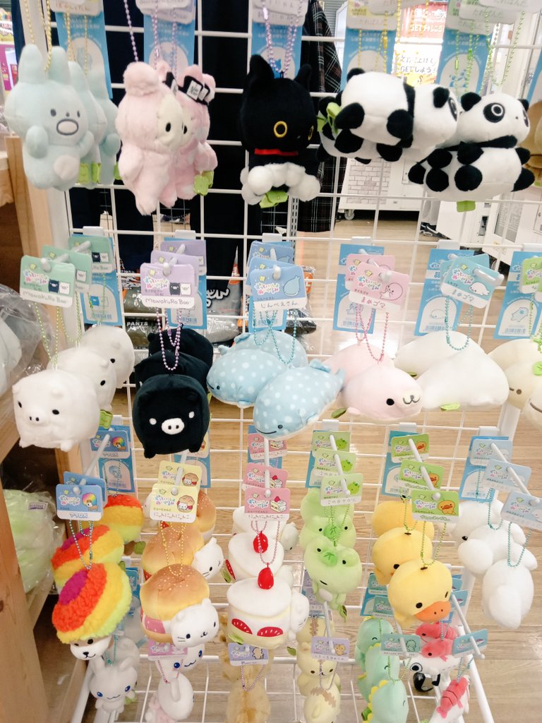 こんにちは、文真堂書店群馬町店です😉

本日より、サンエックスずっといっしょぬいぐるみを1個以上お買い上げの方に、お1人様1会計であつめてカードを1枚プレゼントしております✨

この機会にぜひ、可愛いぬいぐるみとカードをGETしてください😉💕

#サンエックス
#ずっといっしょぬいぐるみ