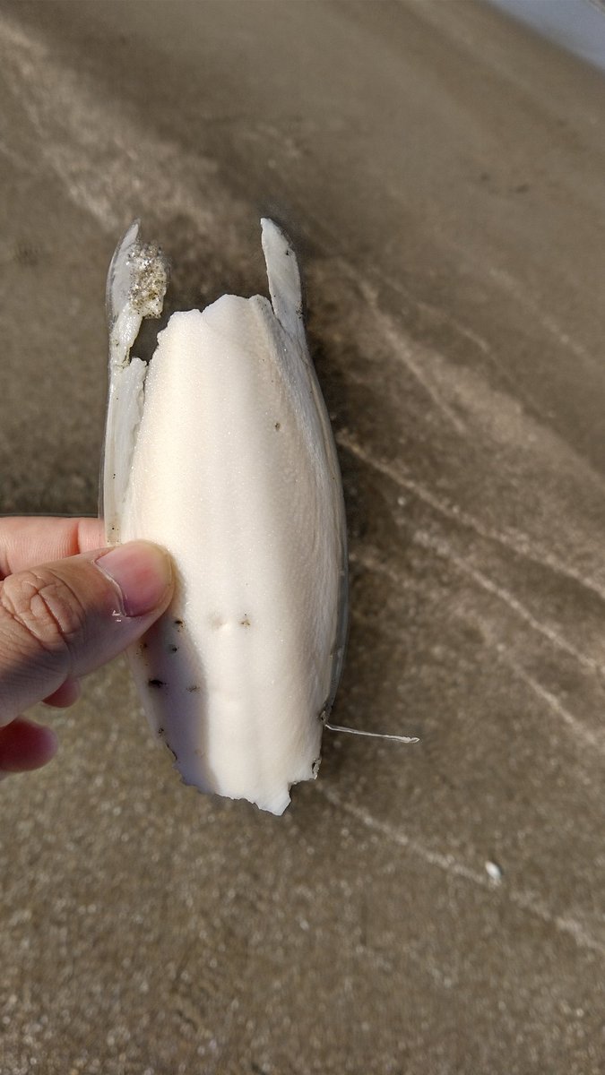 wata (@jXBoEkfoa2z1wZu) / Posts / X