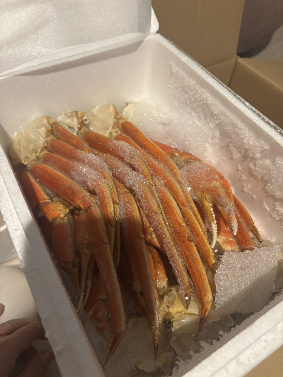 ここあ😈😈 tweet media