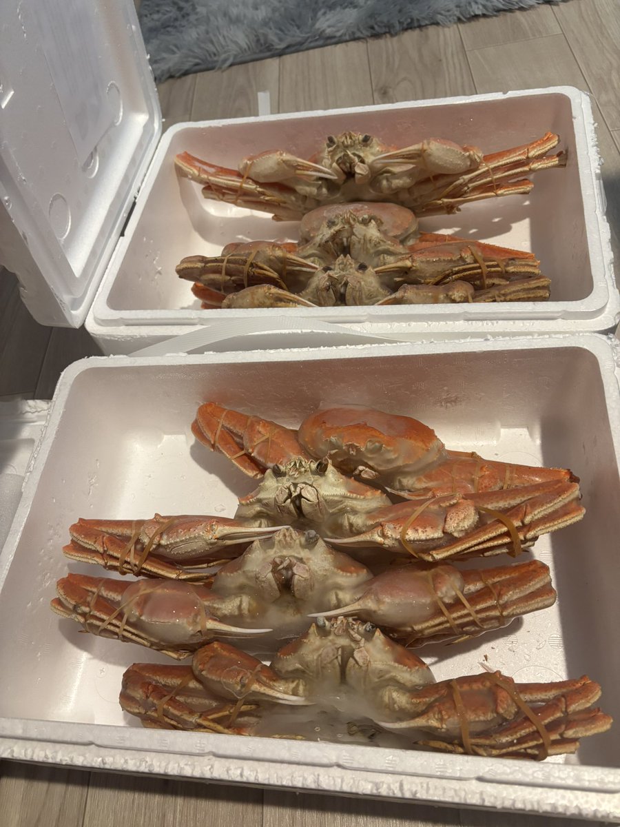 ここあ😈😈 tweet media