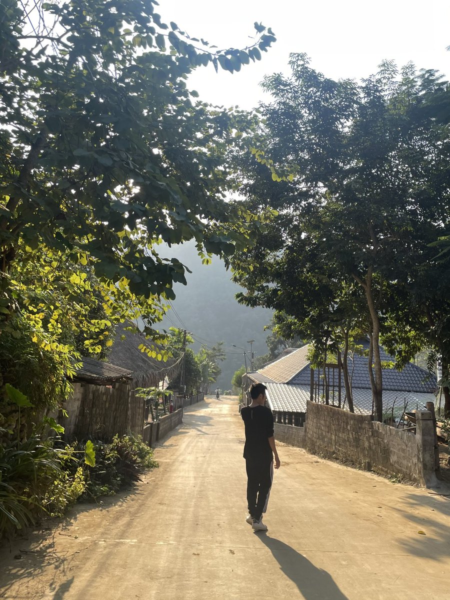 mitus_'s tweet image. Gm 🌞