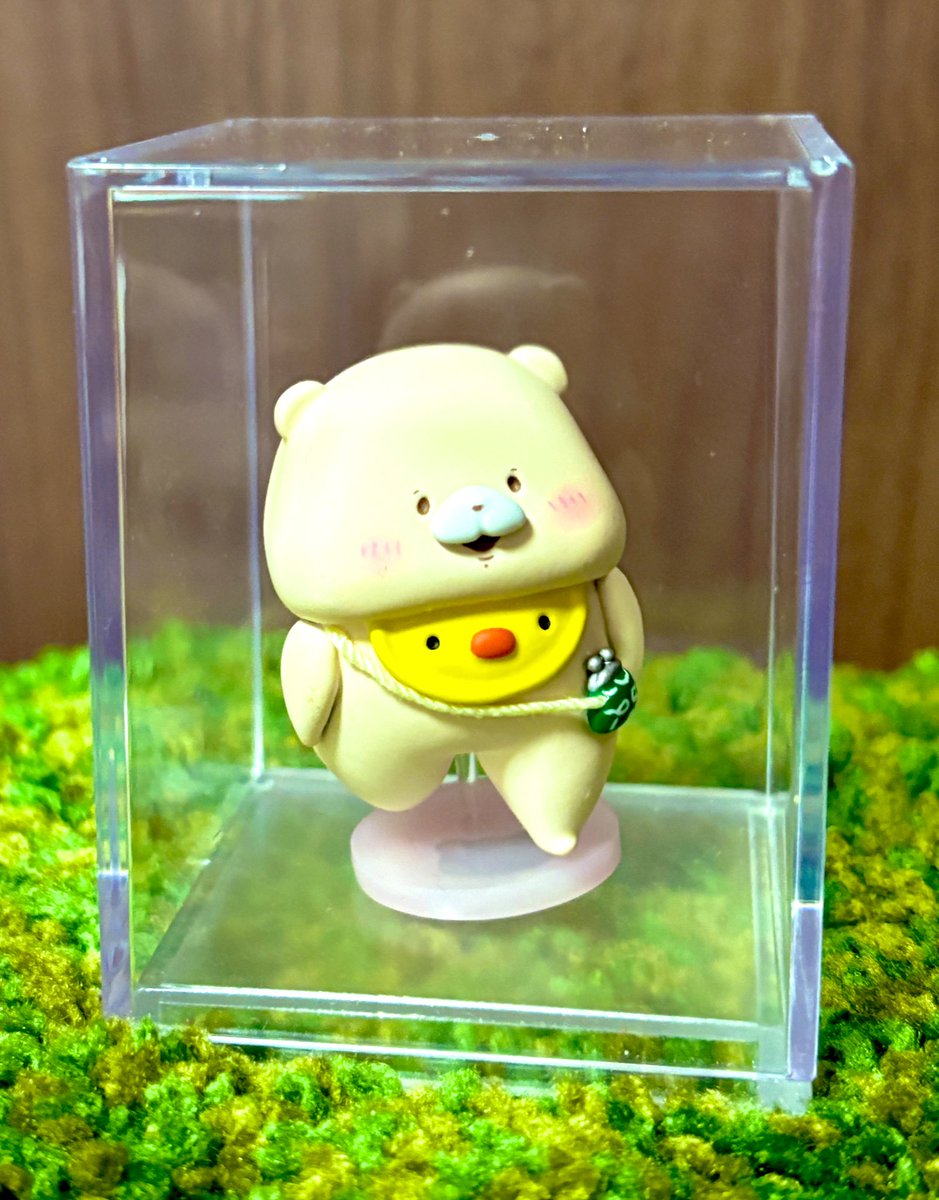 ひよこくんのおもちゃ箱さん 開催のフォトコン 入賞作品のくまちゃんが