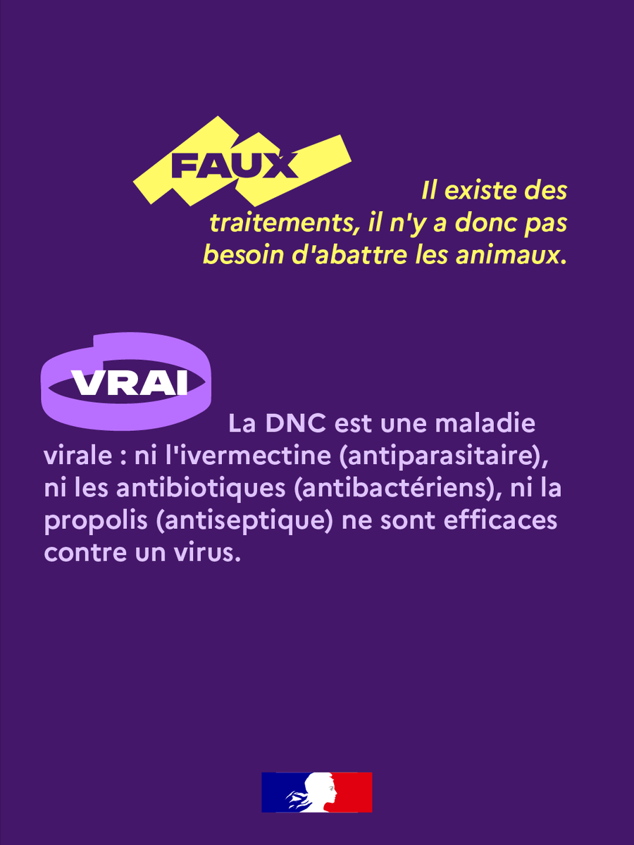 Halte aux fausses informations⚠️ 

La France lutte contre la DNC avec une stratégie qui a fait ses preuves dans la région Auvergne-Rhône-Alpes. Pourtant, de fausses informations circulent.  

On démêle le vrai du faux : épisode 2 ⤵️