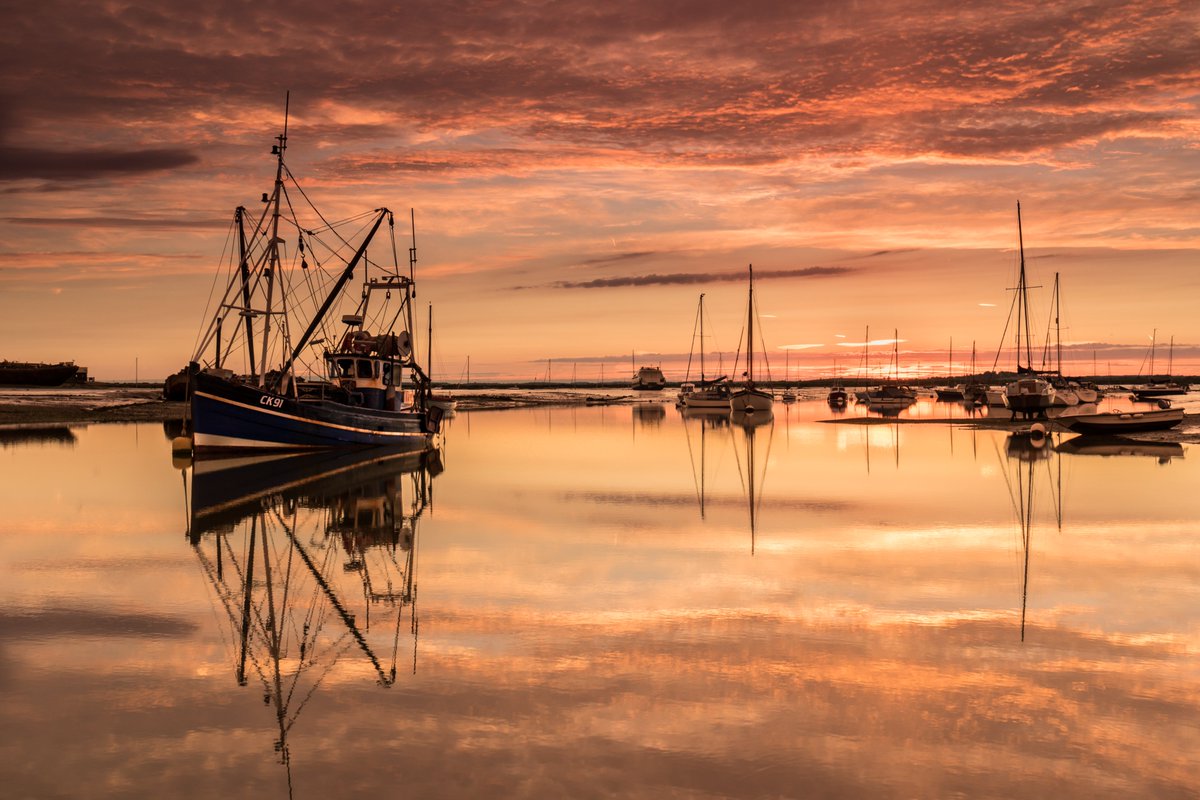 2025 Virtual Advent Calendar.  
Day 20: