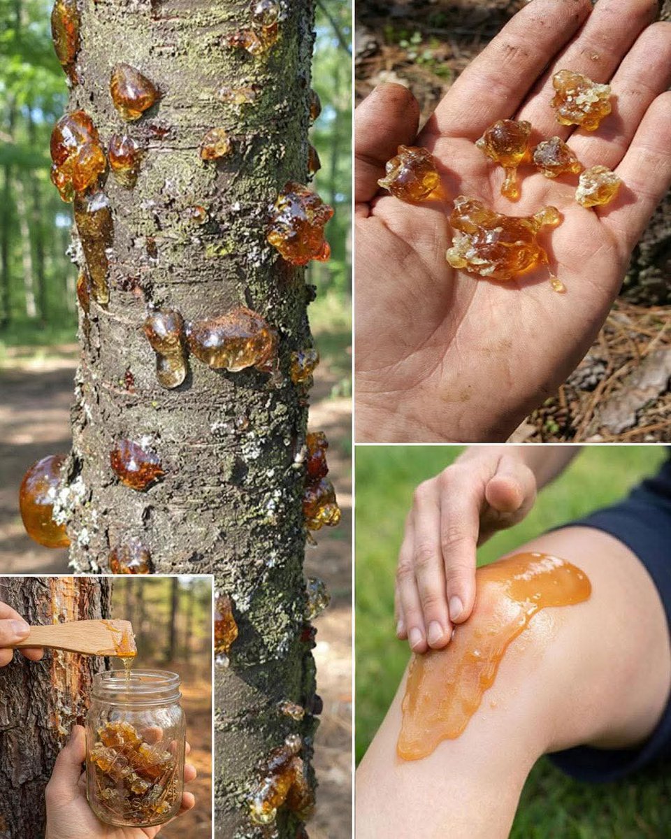 Most people underestimate this resin, until they found out the power and the price...