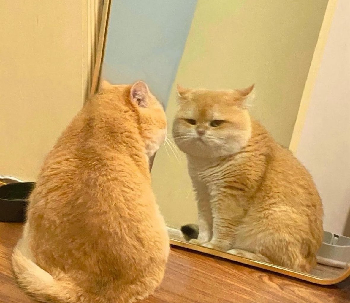 PsychopathhunterVT tweet media