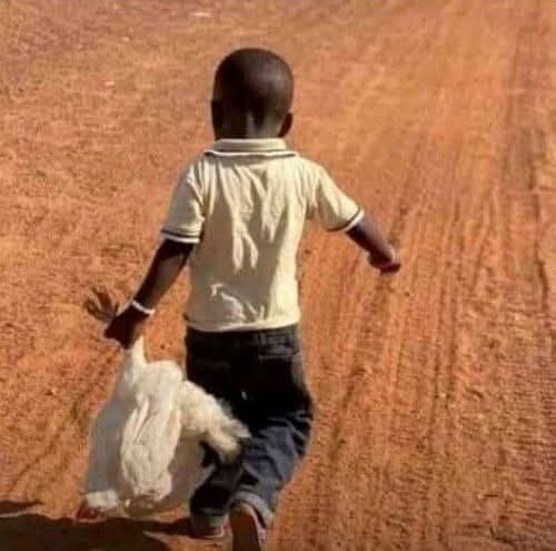 IL_Sekonya's tweet image. 22 December 😂🤣🔥🔥

#InstantLoanHub #CompetitionTips #WinnersMindset #GiveawaySA #PlaySmartNotLucky