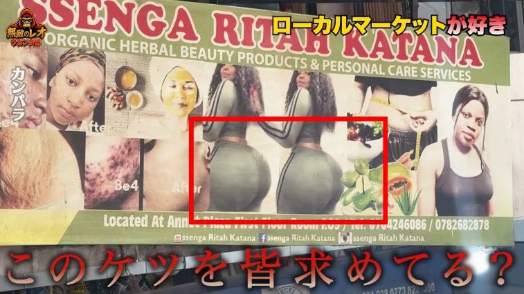 無敵のレオ tweet media
