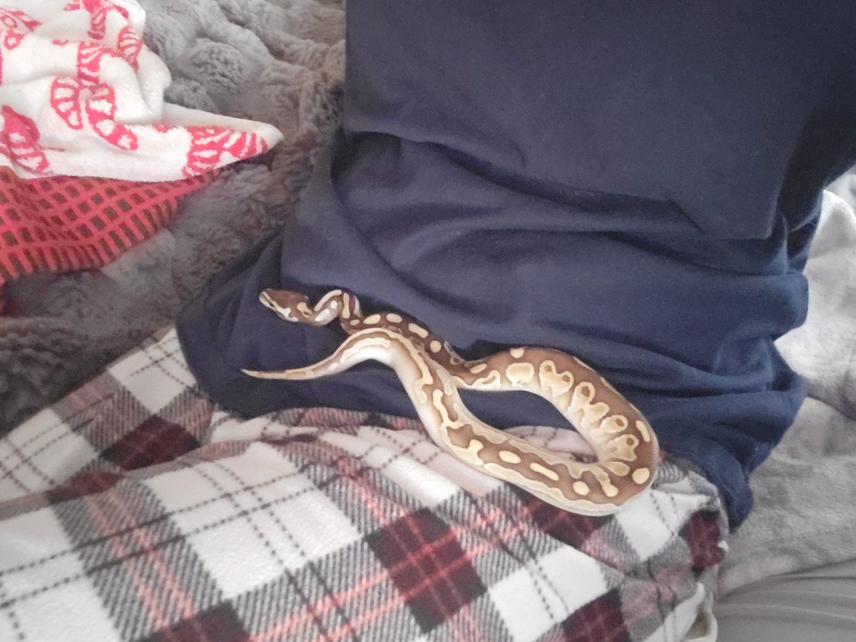 SOUNDBBABE💎 tweet media