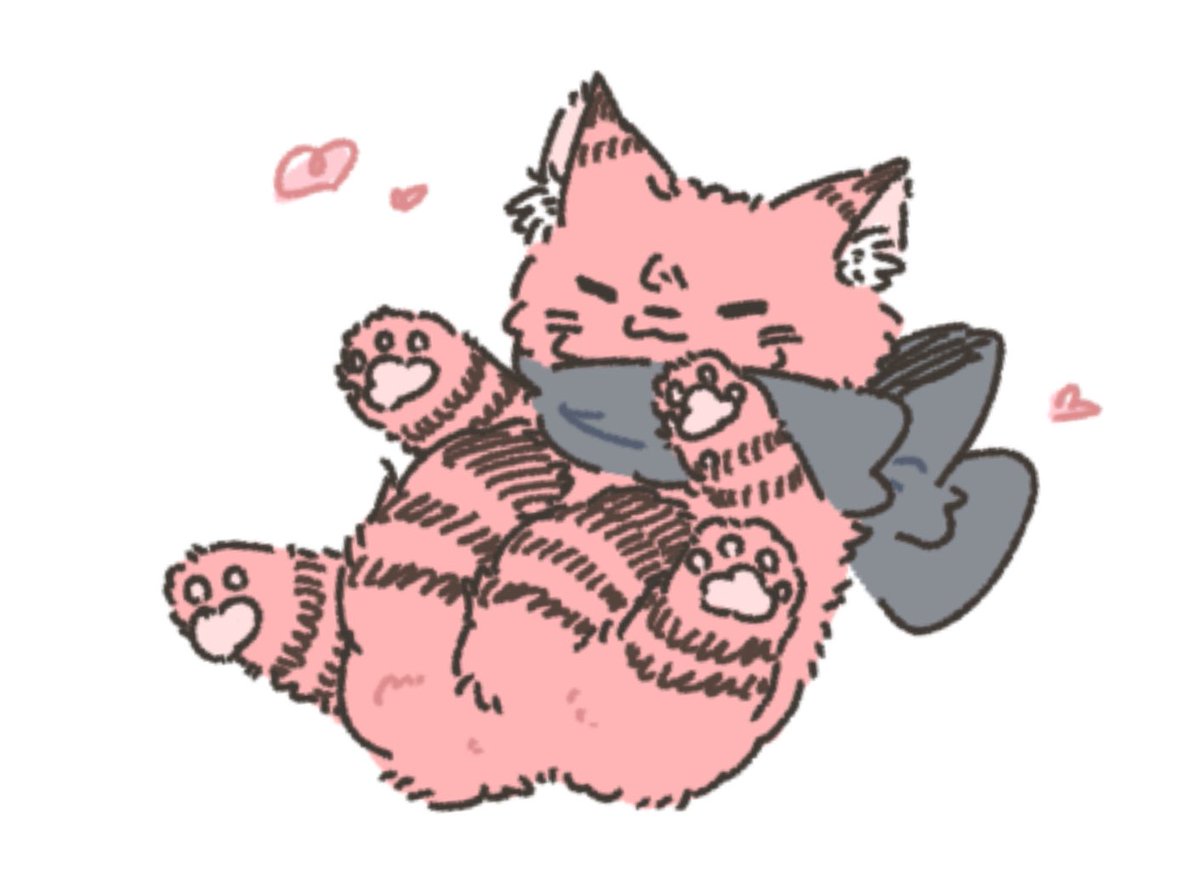 ころころすくにゃん💞🐱💞