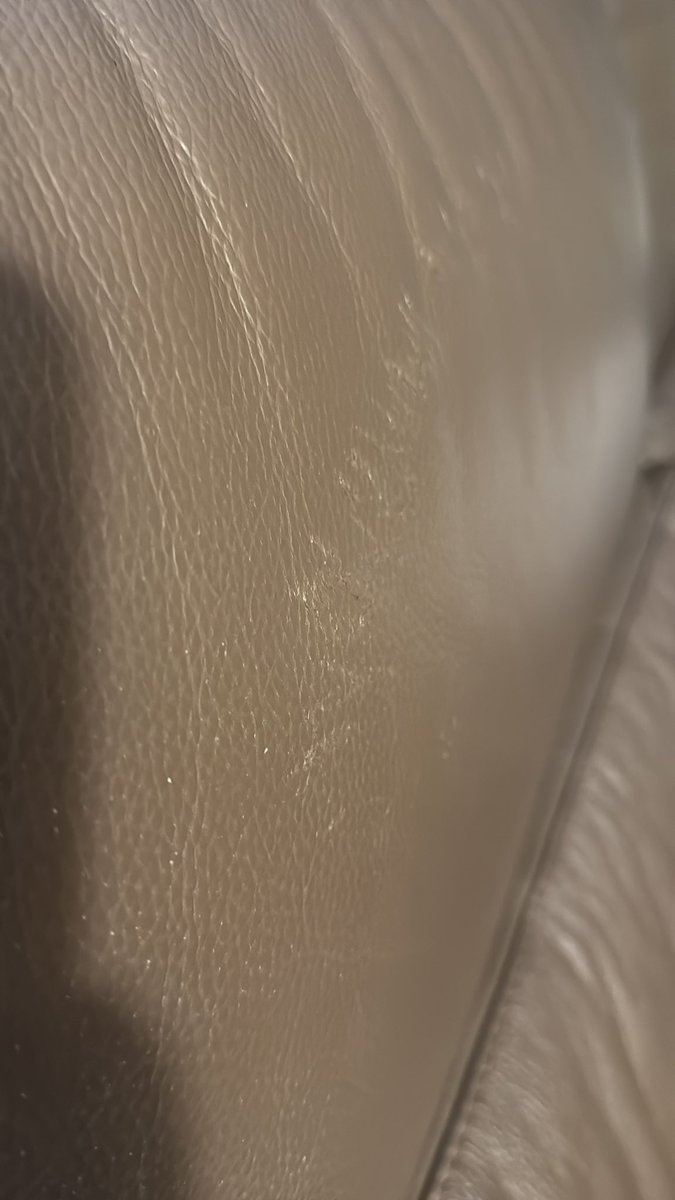 Félix Torres (También tuiteo como @abeja_zumbee) tweet media