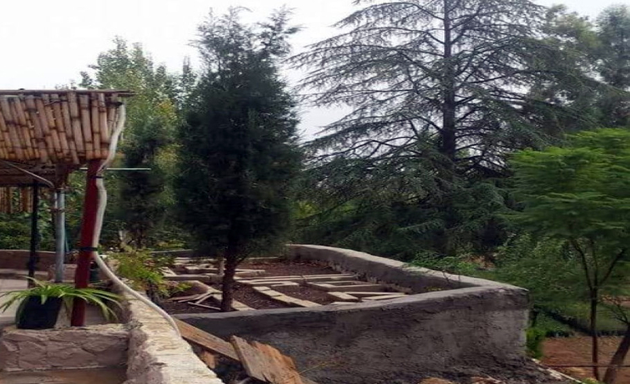 جرش: مشتل عين جملا إرث زراعي وبيئي يستأنف دوره في دعم التحريج #بترا 