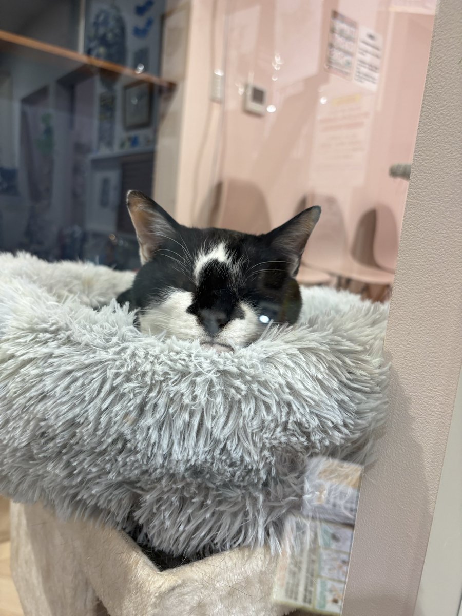 本日もご来店頂きありがとうございました！！ 明日も全体的にすいて