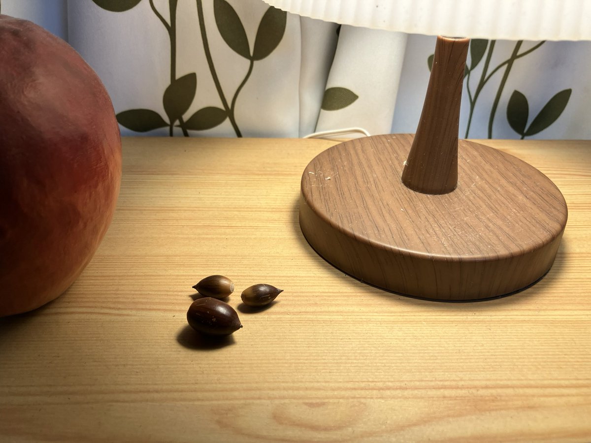 小学生の生徒さんからどんぐり３つ頂きました！かわいい〜😆