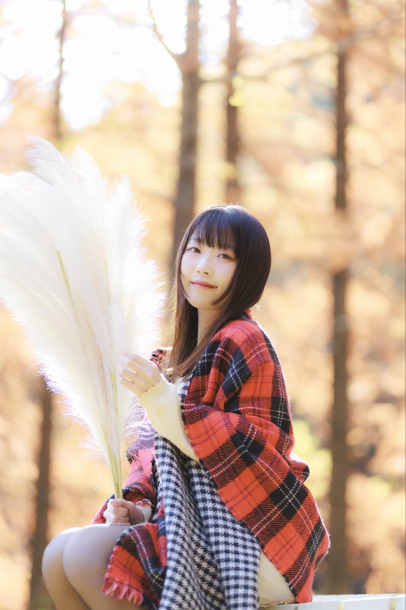 ハクシ tweet media