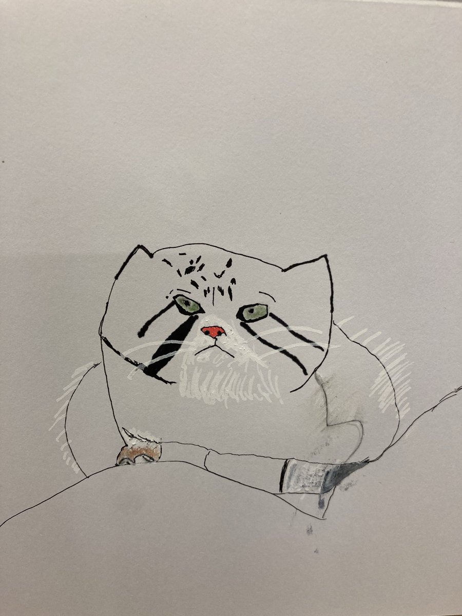 明日！
ふれ愛まつり！
家族で出店します！
妻は手作り雑貨！
息子は猫の似顔絵描きます！
僕は合体玩具やります！