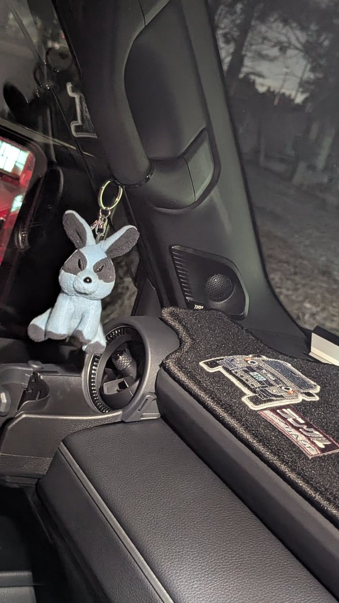 ランクル250🐢さんにDOD 330🐰括り付け…:(っ'ヮ'c):ﾊﾜﾜ💕