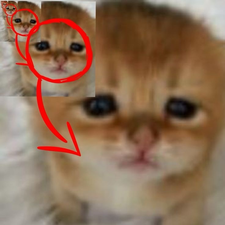 Кто вообще придумал ставить зачёт  утром субботы...