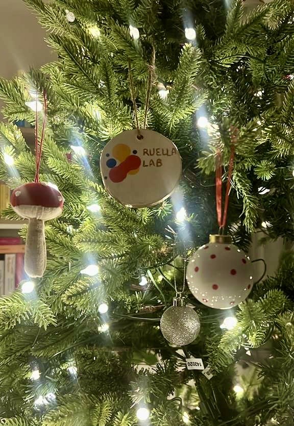 Ruella Lab tweet media